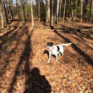 Meet your Posher, Alexandra